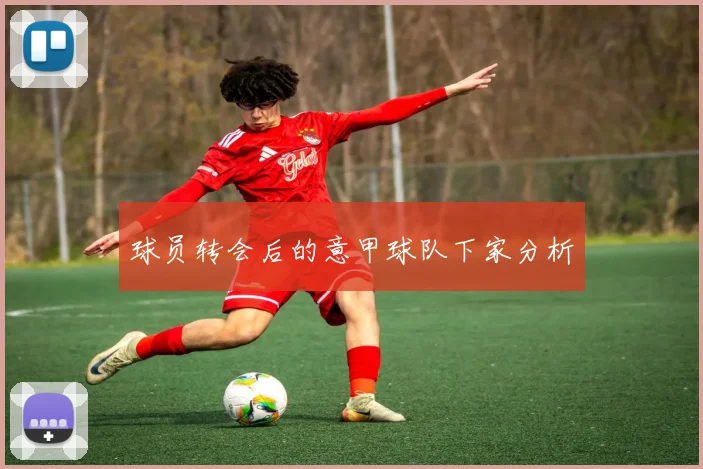 球员转会后的意甲球队下家分析