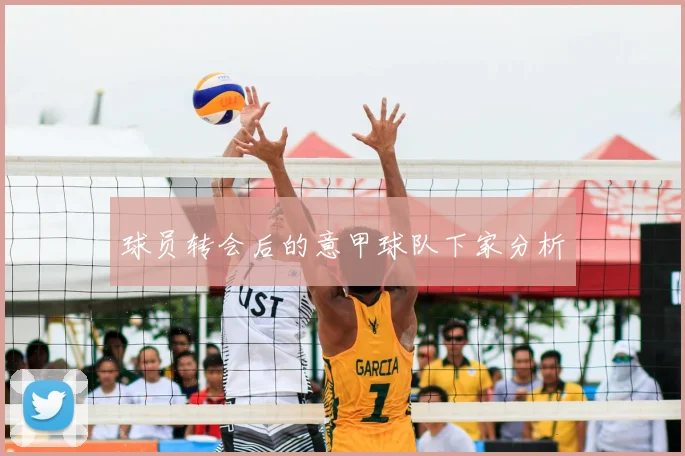 球员转会后的意甲球队下家分析